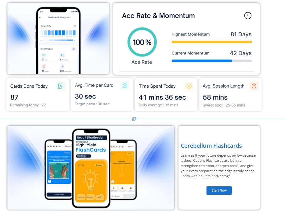 Cerebellum Academy Flashcards - 2