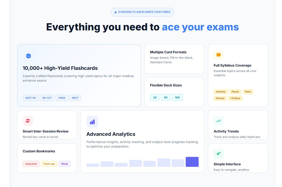Cerebellum Academy Flashcards - 3